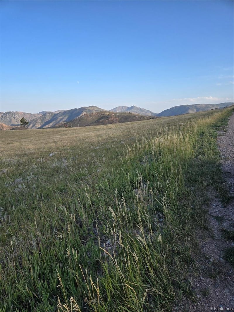443 Meadow Mountain Dr, Livermore, CO 80536