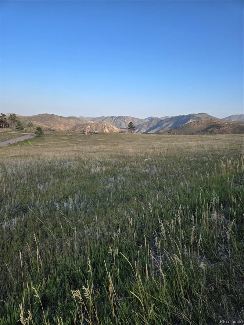 443 Meadow Mountain Dr, Livermore, CO 80536