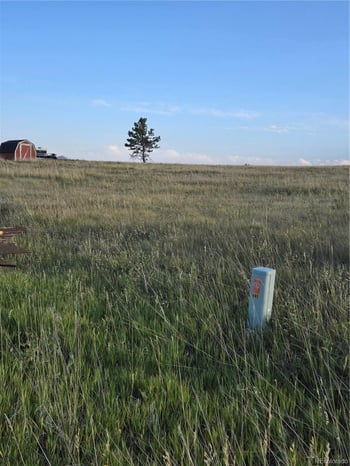 443 Meadow Mountain Dr, Livermore, CO 80536