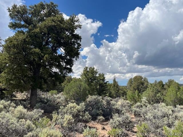 Lot 15 Deer Park Trl, San Luis, CO 81152