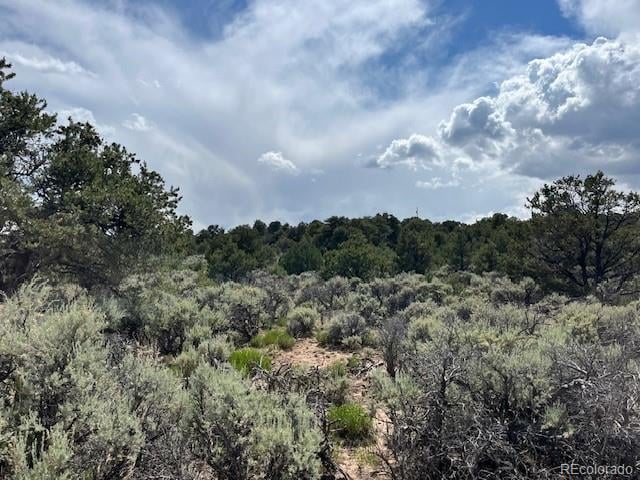 Lot 15 Deer Park Trl, San Luis, CO 81152