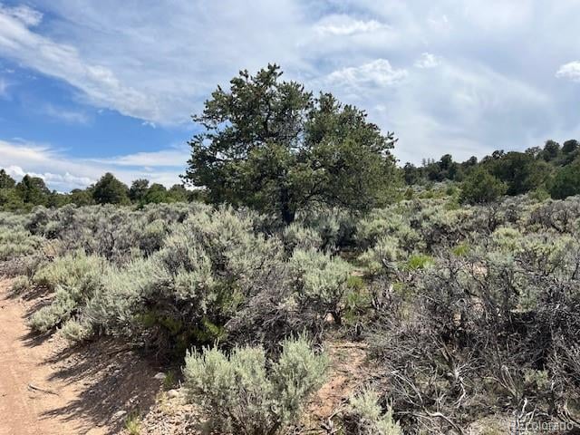 Lot 15 Deer Park Trl, San Luis, CO 81152