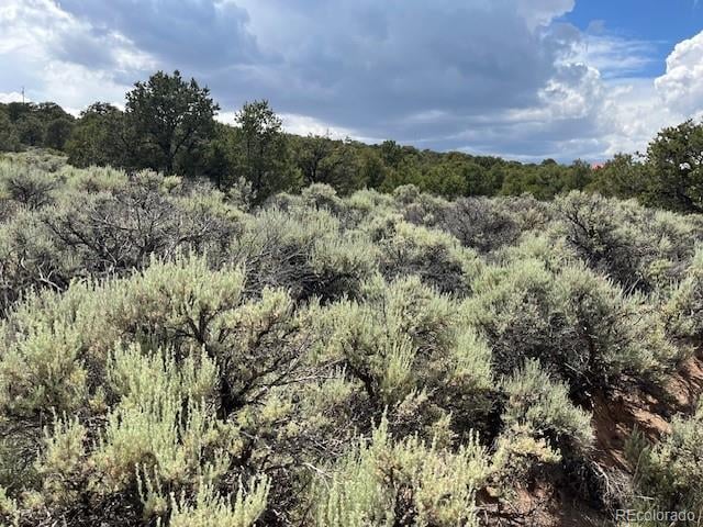 Lot 15 Deer Park Trl, San Luis, CO 81152