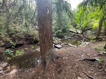 31429 Burke Rd, Golden, CO 80403