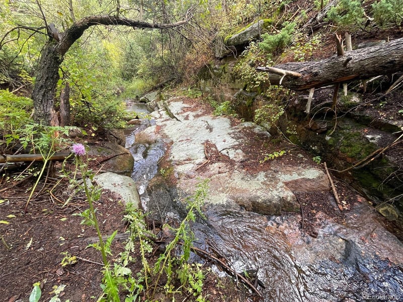 31429 Burke Rd, Golden, CO 80403