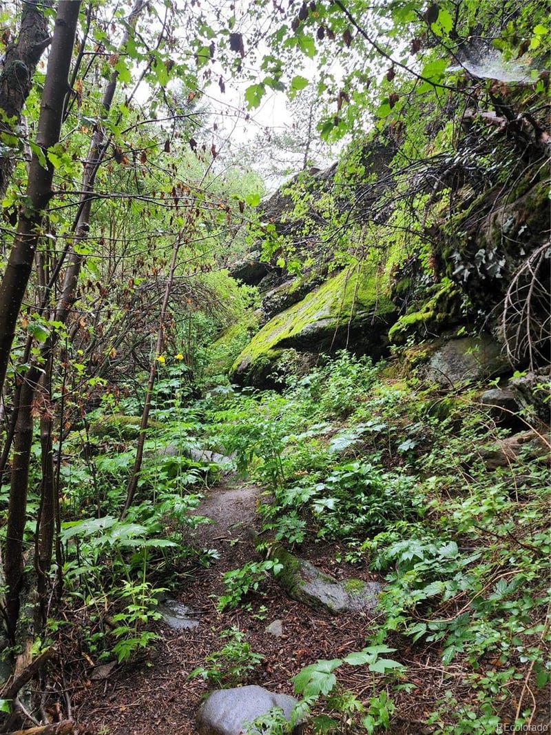 31429 Burke Rd, Golden, CO 80403