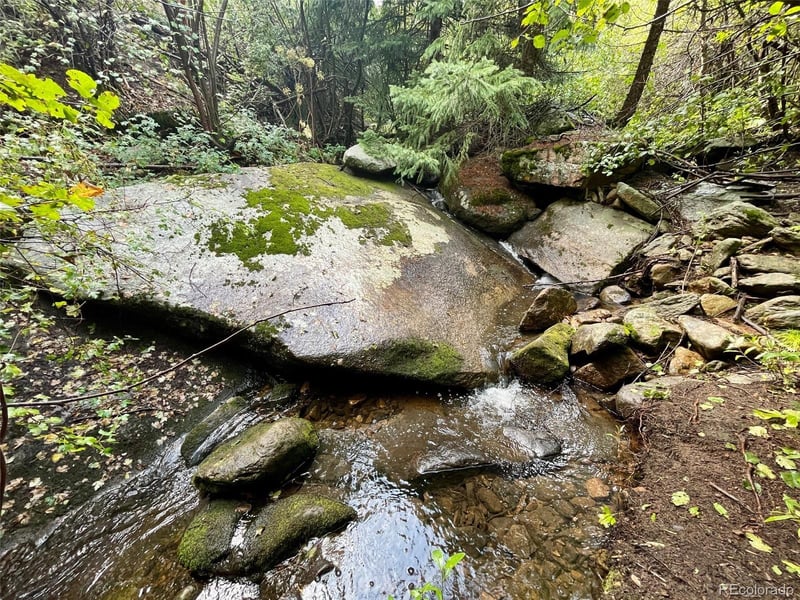 31429 Burke Rd, Golden, CO 80403