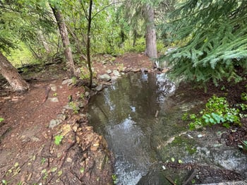 31429 Burke Rd, Golden, CO 80403