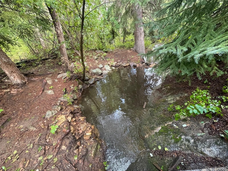 31429 Burke Rd, Golden, CO 80403