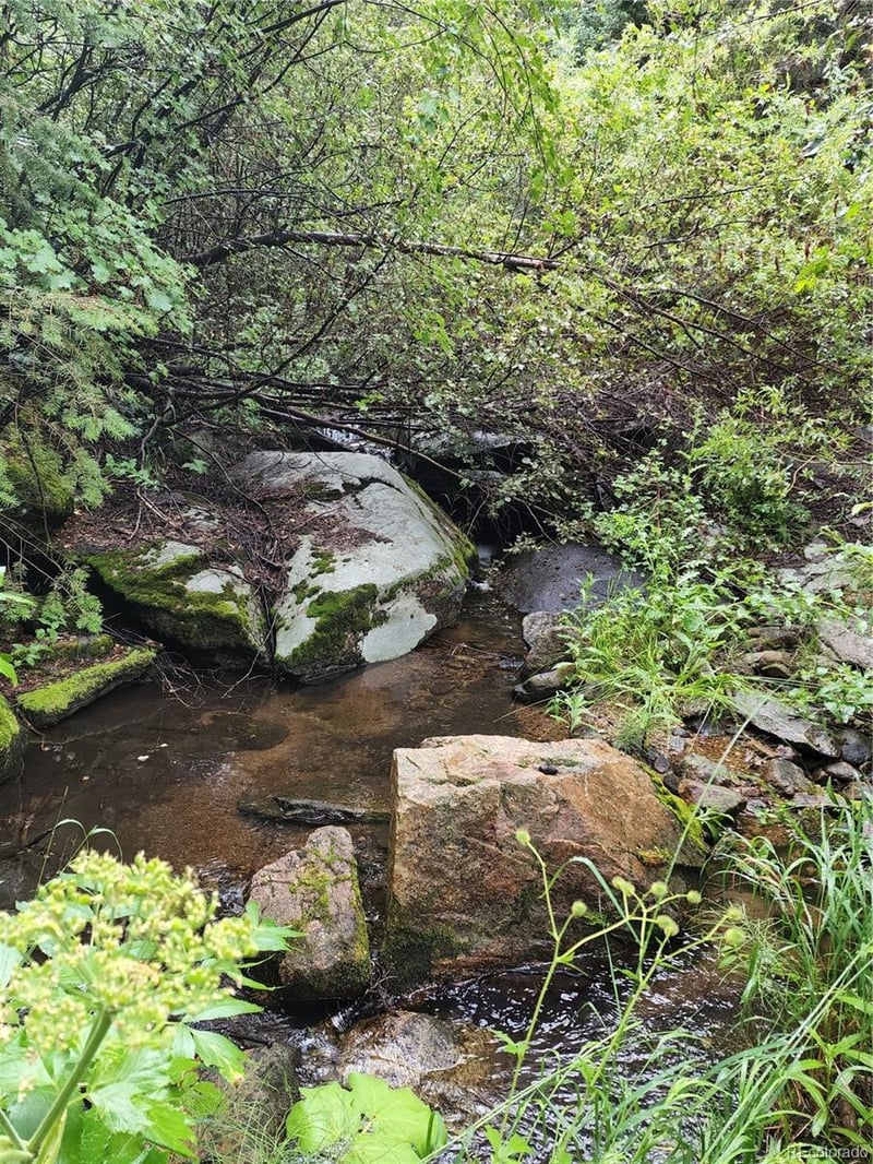 31429 Burke Rd Lot 2, Golden, CO 80403
