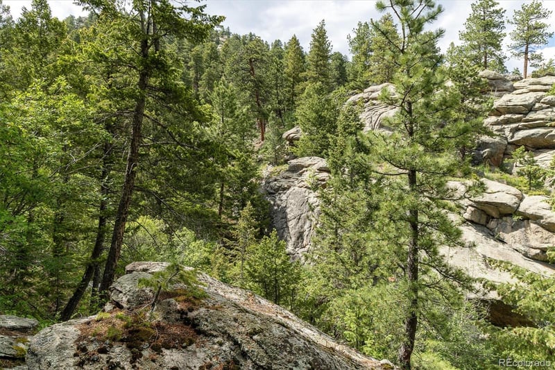 31429 Burke Rd Lot 2, Golden, CO 80403