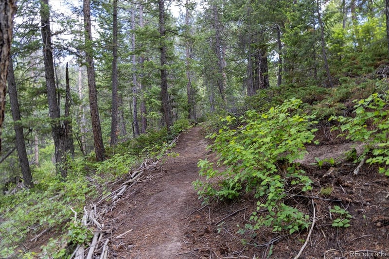 31429 Burke Rd Lot 2, Golden, CO 80403
