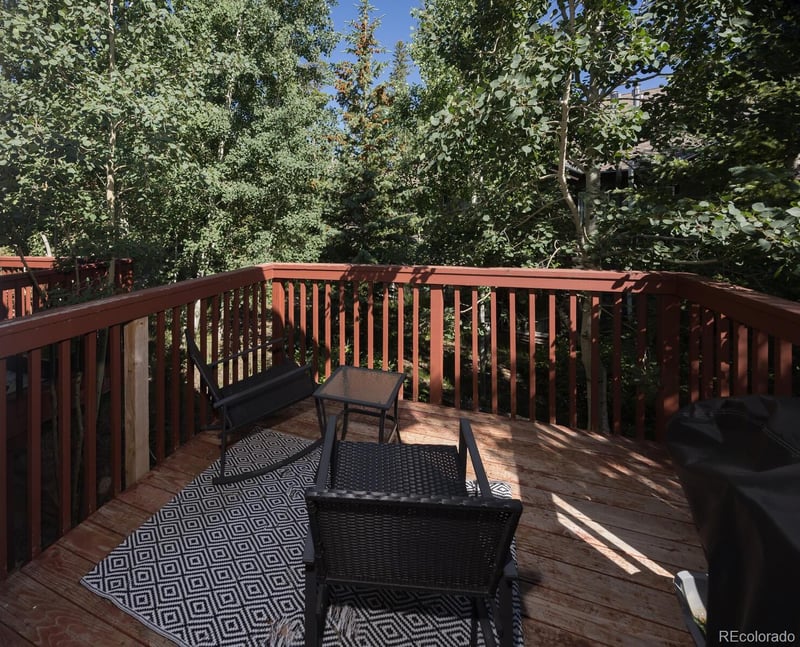 77 Spyglass Ln #77, Silverthorne, CO 80498