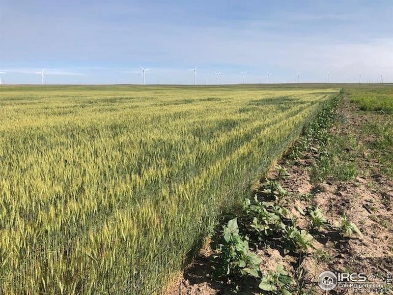 Cr 70 , Briggsdale, CO 80611