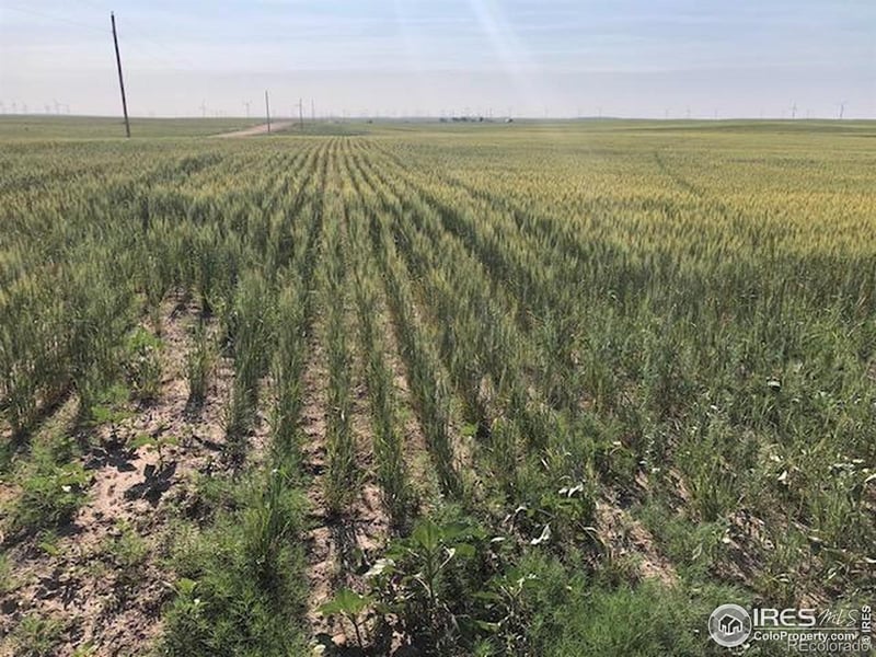 Cr 70 , Briggsdale, CO 80611