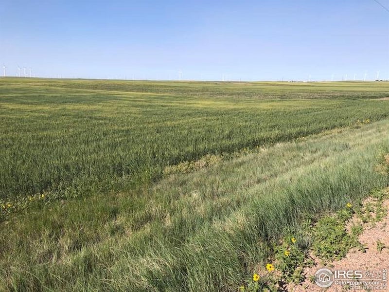 Cr 70 , Briggsdale, CO 80611