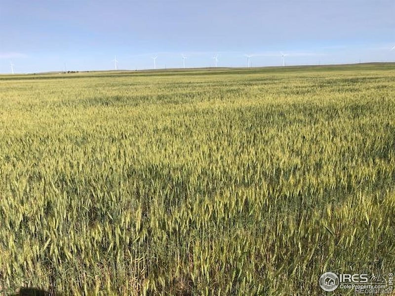 Cr 70 , Briggsdale, CO 80611