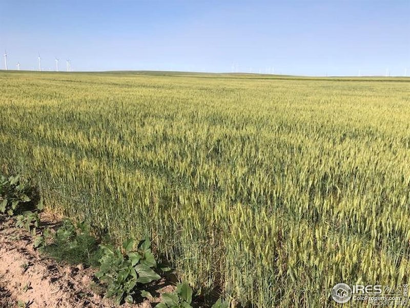 Cr 70 , Briggsdale, CO 80611