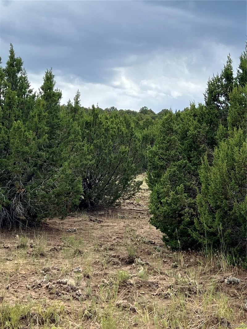 Sunrise Rd Lot 80, Walsenburg, CO 81089
