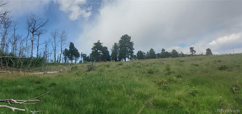 Lot 1720 Fitts Pl Lot 1720, Fort Garland, CO 81133