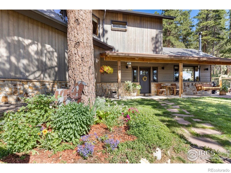 709 Mcmillen Way, Nederland, CO 80466