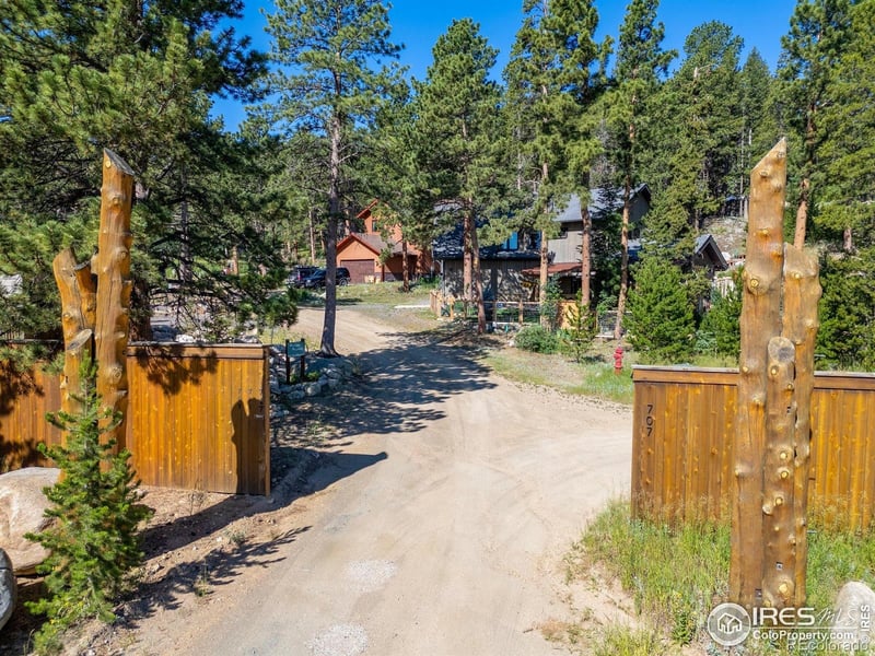 709 Mcmillen Way, Nederland, CO 80466
