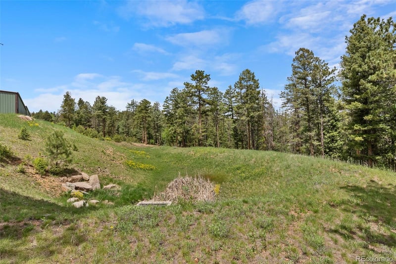11040 Kitty Dr, Conifer, CO 80433