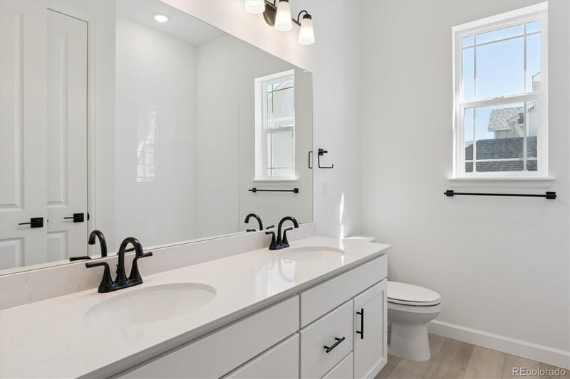 1668 Green Fern Point, Castle Rock, CO 80104