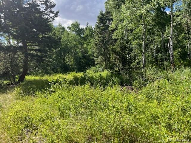 Lot 5757 Balleroy Rd, San Luis, CO 81152