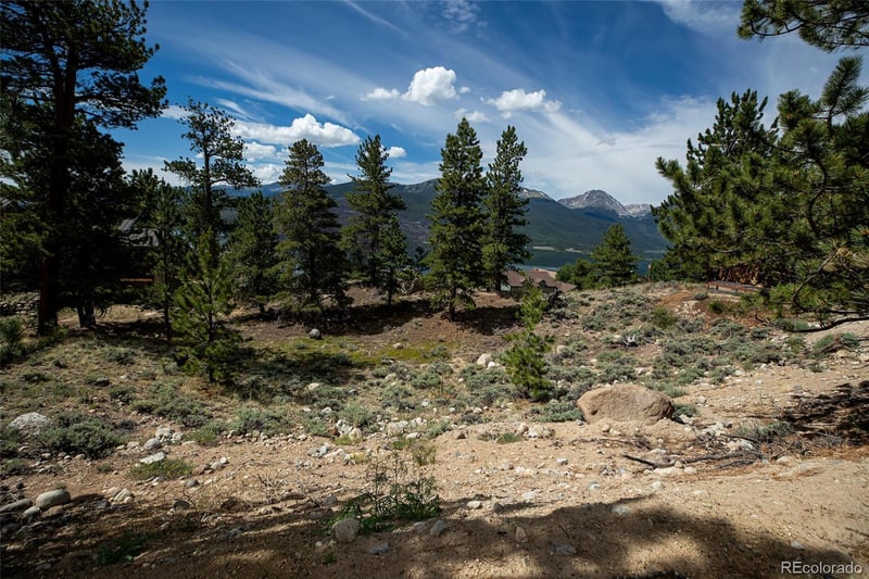 350 La Plata Peak Dr, Twin Lakes, CO 81251