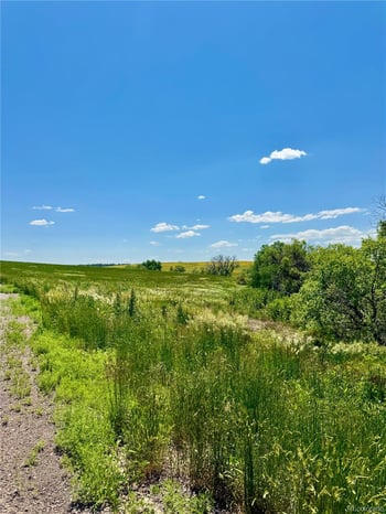 Wendling Trail Lot 61, Kiowa, CO 80117