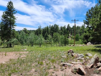 501 Cr 403 , Florissant, CO 80816