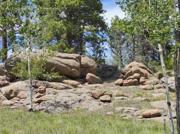 501 Cr 403 , Florissant, CO 80816