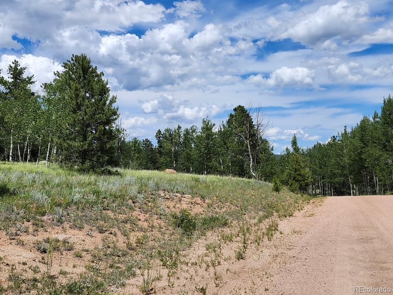 501 Cr 403 , Florissant, CO 80816