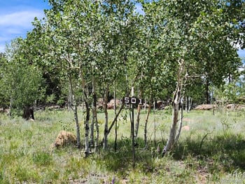 501 Cr 403 , Florissant, CO 80816