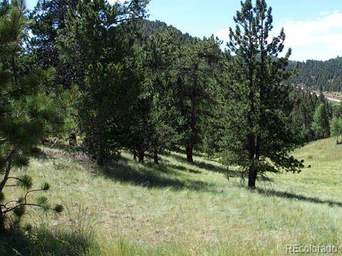 172 Cortez Pl, Cripple Creek, CO 80813