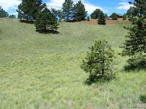 172 Cortez Pl, Cripple Creek, CO 80813