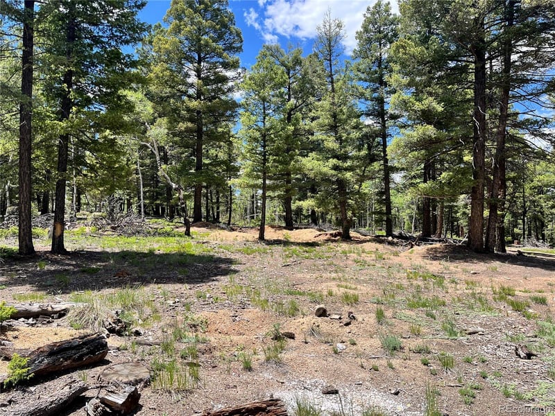 1002 Indian Creek Rd, Florissant, CO 80816