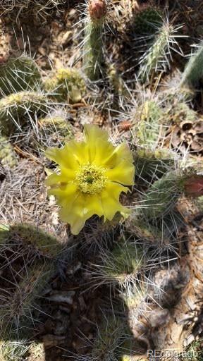 Michaels , San Luis, CO 81152