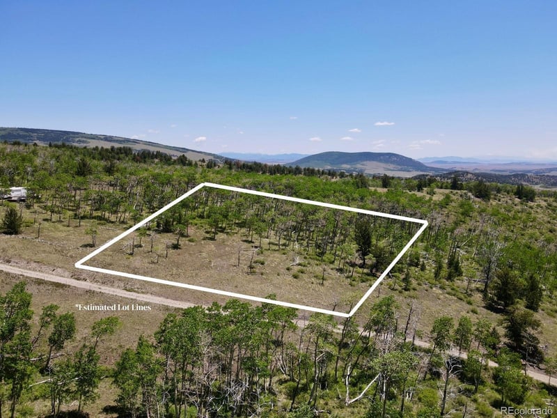 74 Forest Dr, Fairplay, CO 80440