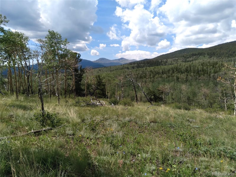 74 Forest Dr, Fairplay, CO 80440