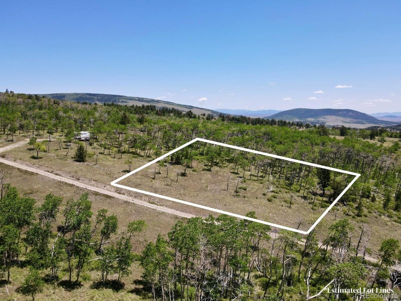 74 Forest Dr, Fairplay, CO 80440