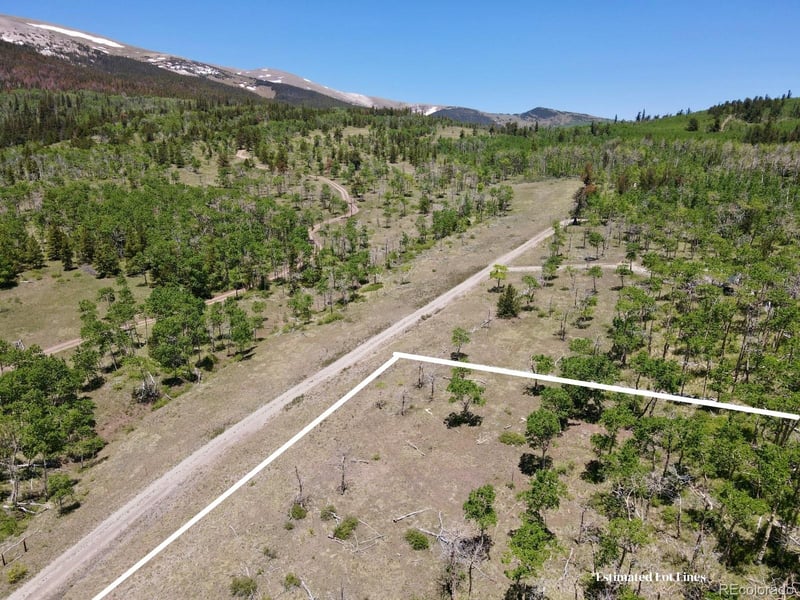 74 Forest Dr, Fairplay, CO 80440
