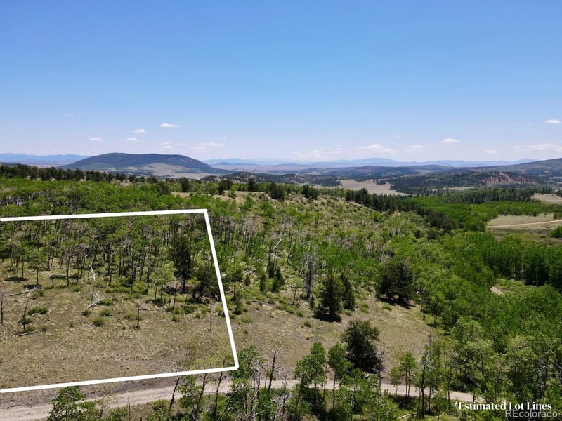 74 Forest Dr, Fairplay, CO 80440