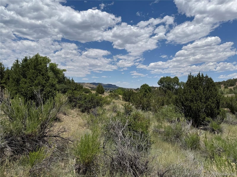 Santa Fe Trail Dr, Trinidad, CO 81082