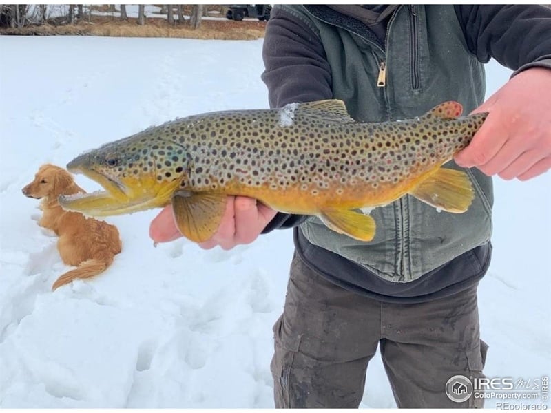 69 Mt Massive Trout Club, Leadville, CO 80461