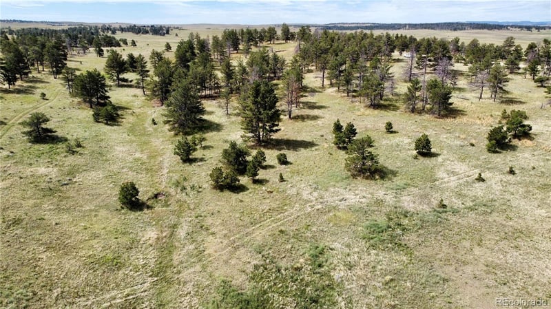 32041 Cattle Cir, Ramah, CO 80832
