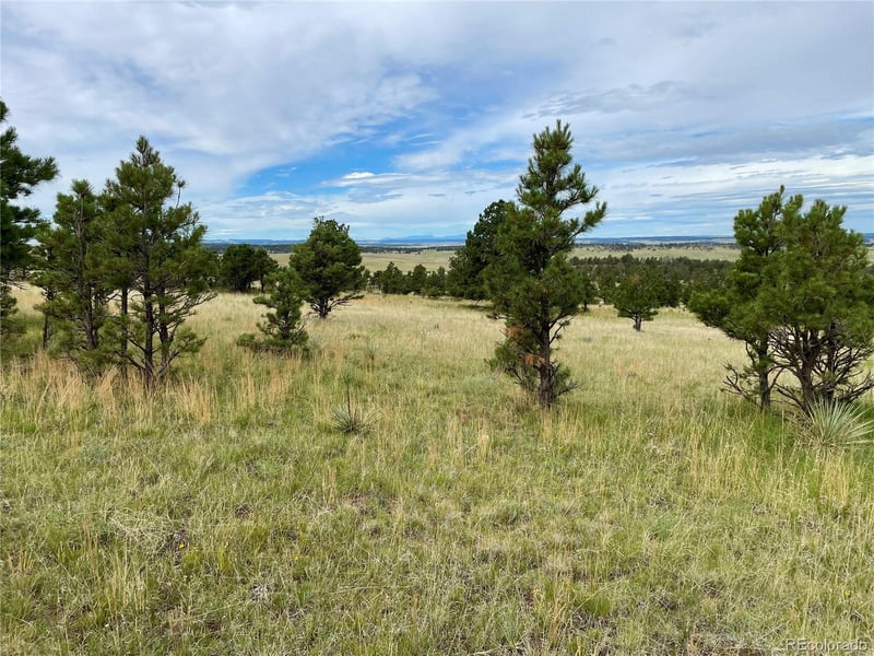 32011 Cattle Cir, Ramah, CO 80832