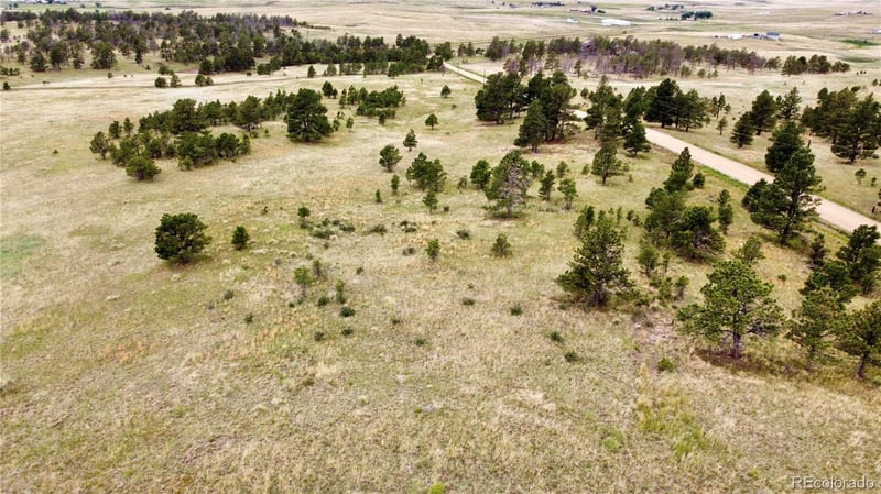32011 Cattle Cir, Ramah, CO 80832