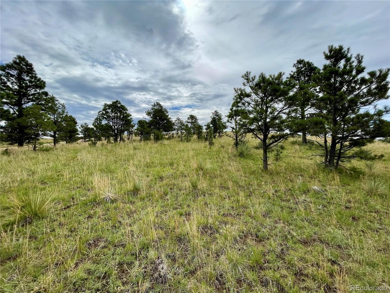 32011 Cattle Cir, Ramah, CO 80832